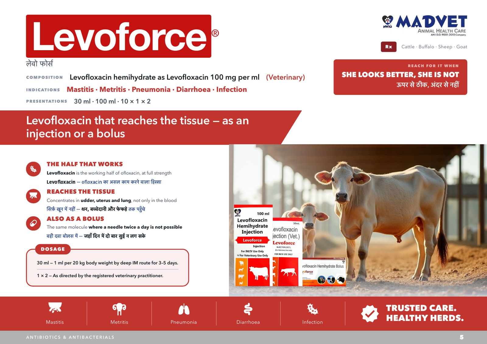 Levoforce 100ml — what is sent