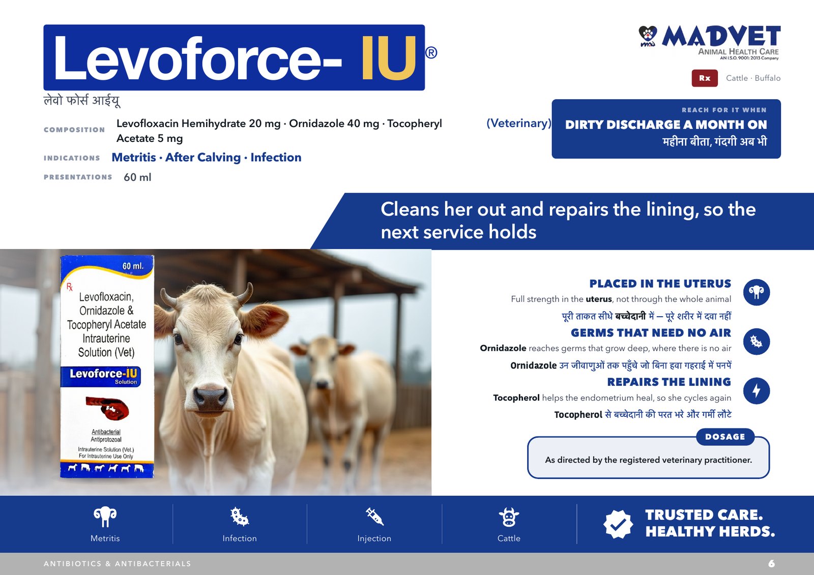 Levoforce-IU Inj — what is sent