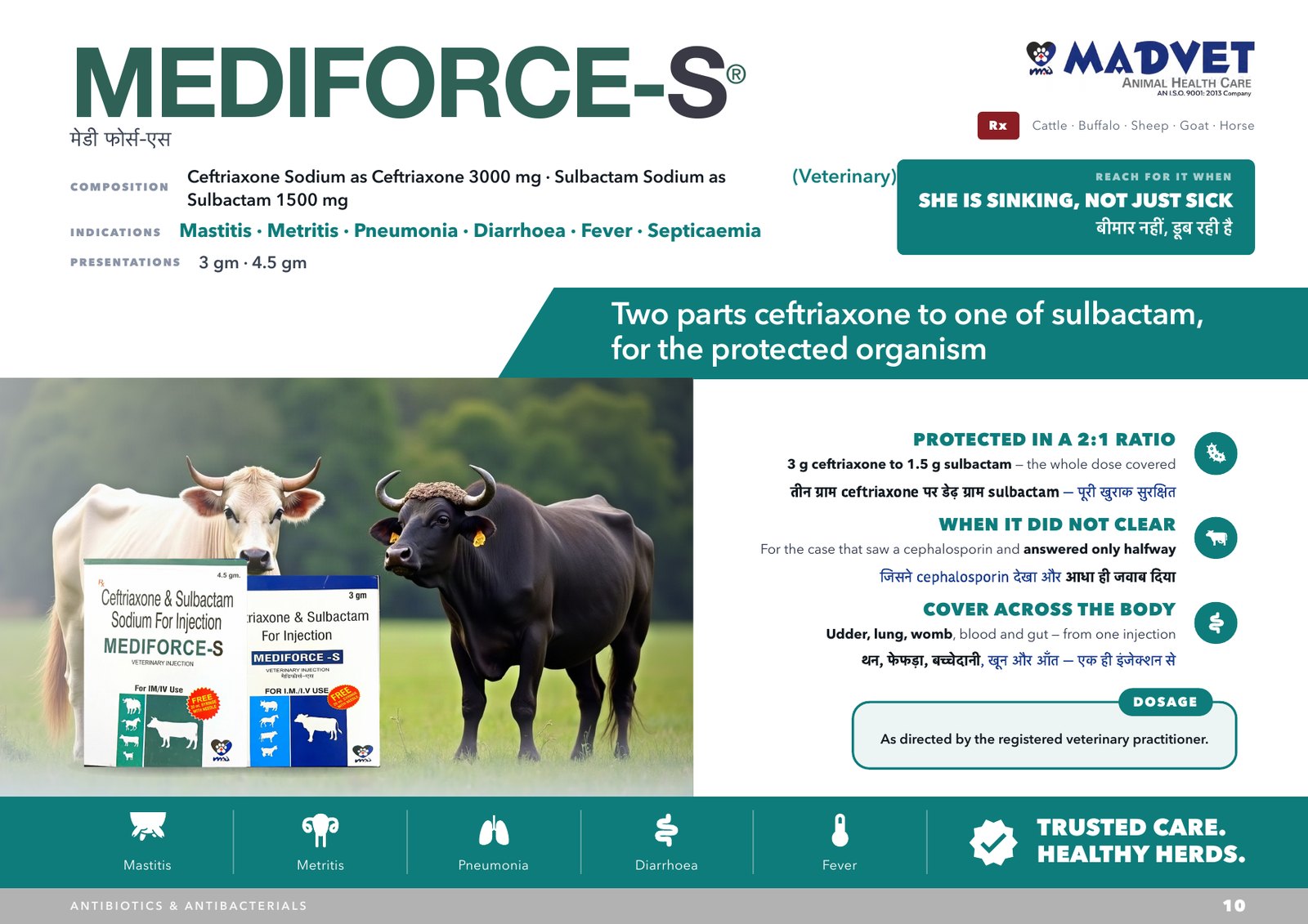 MEDIFORCE-S 4.5gm — what is sent