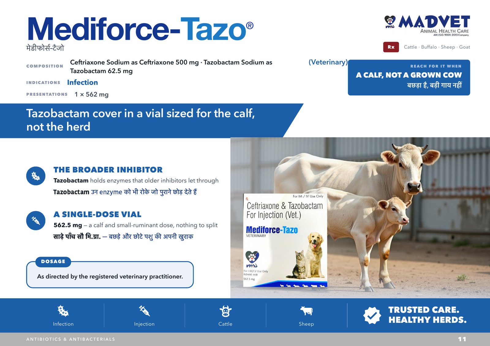 Mediforce-Tazo — what is sent