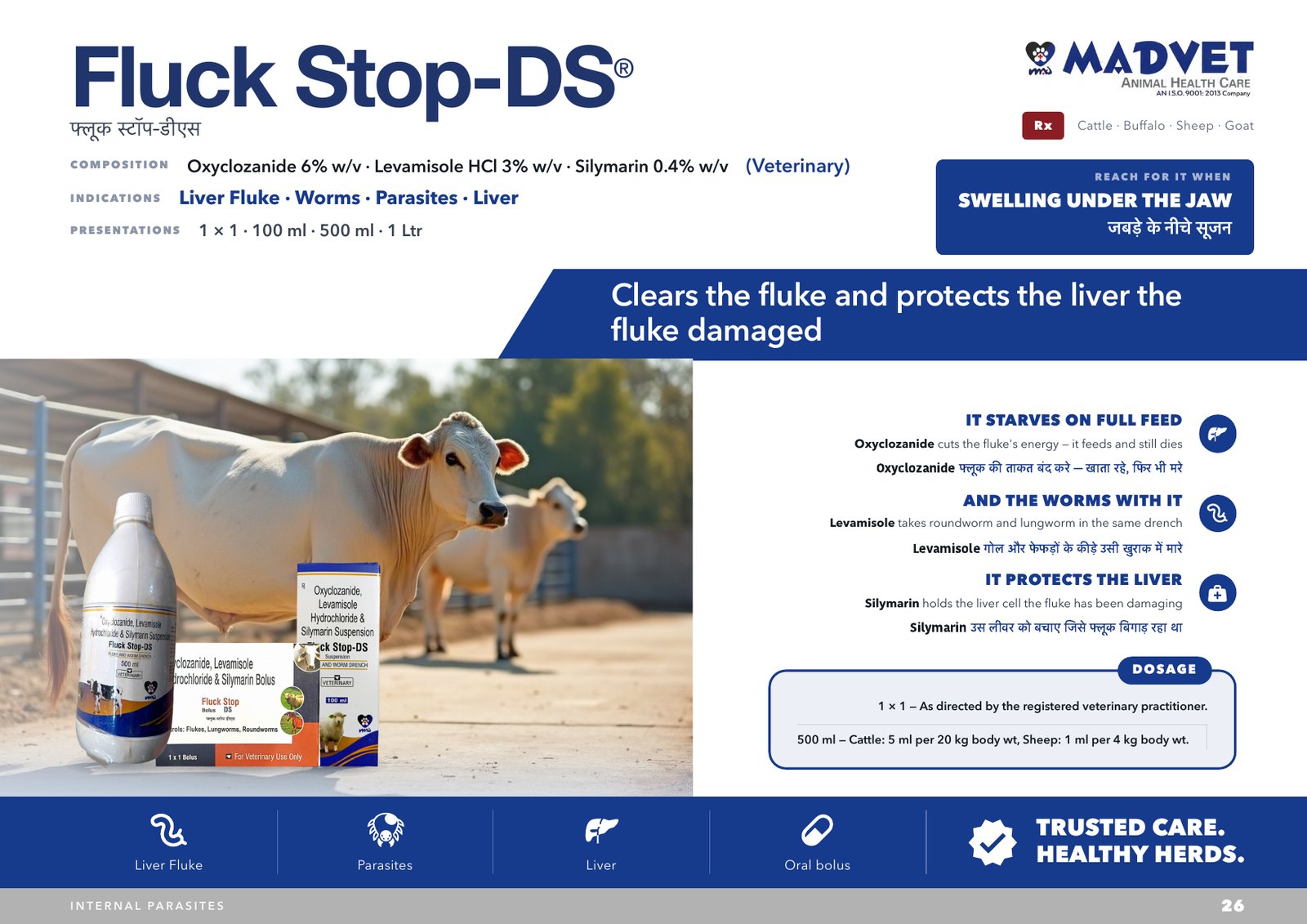 Fluck Stop DS Bolus — what is sent