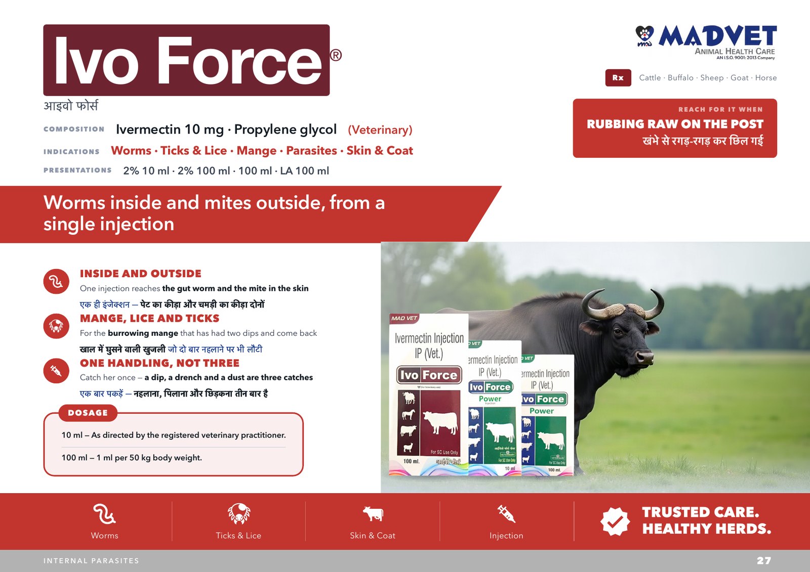 Ivo Force Power 10ml — what is sent