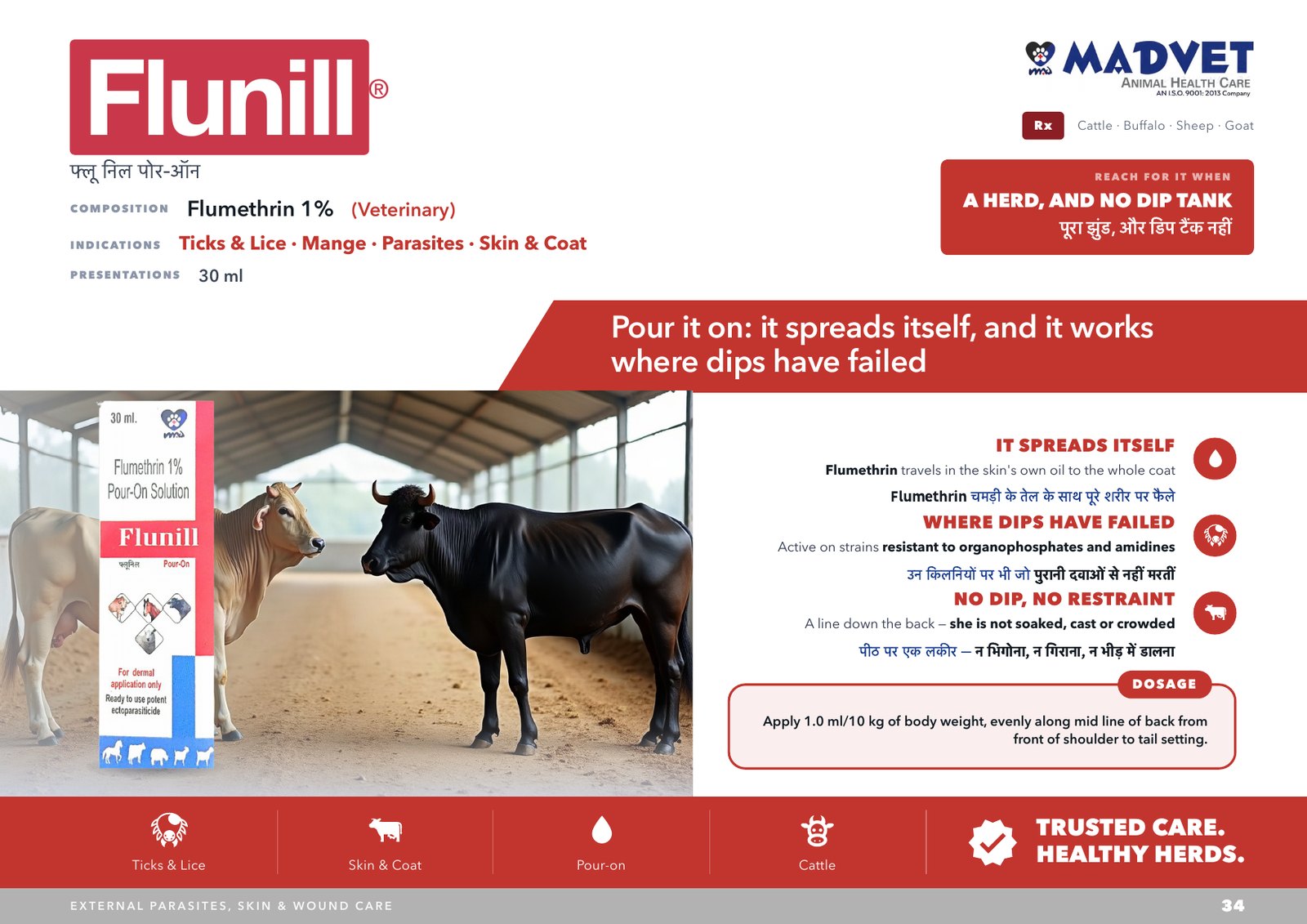 Flunill Pour-On 30ml — what is sent