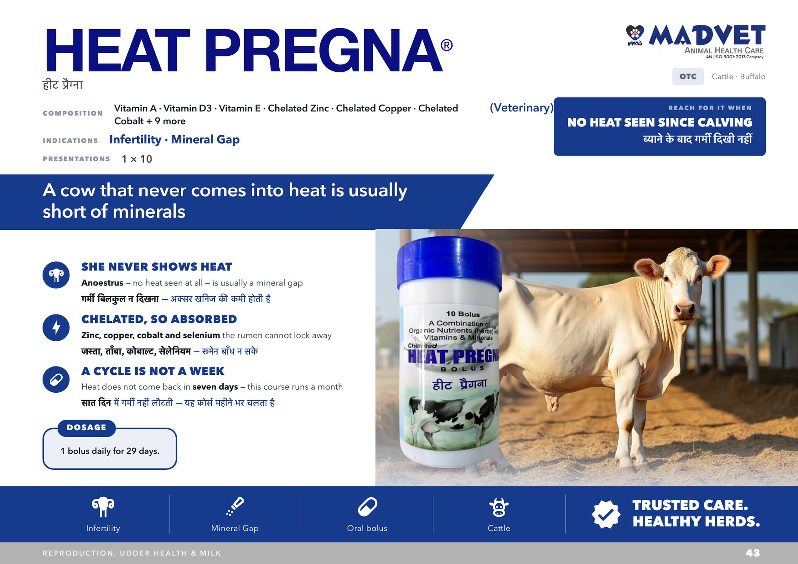 Heat Pregna Bolus — what is sent