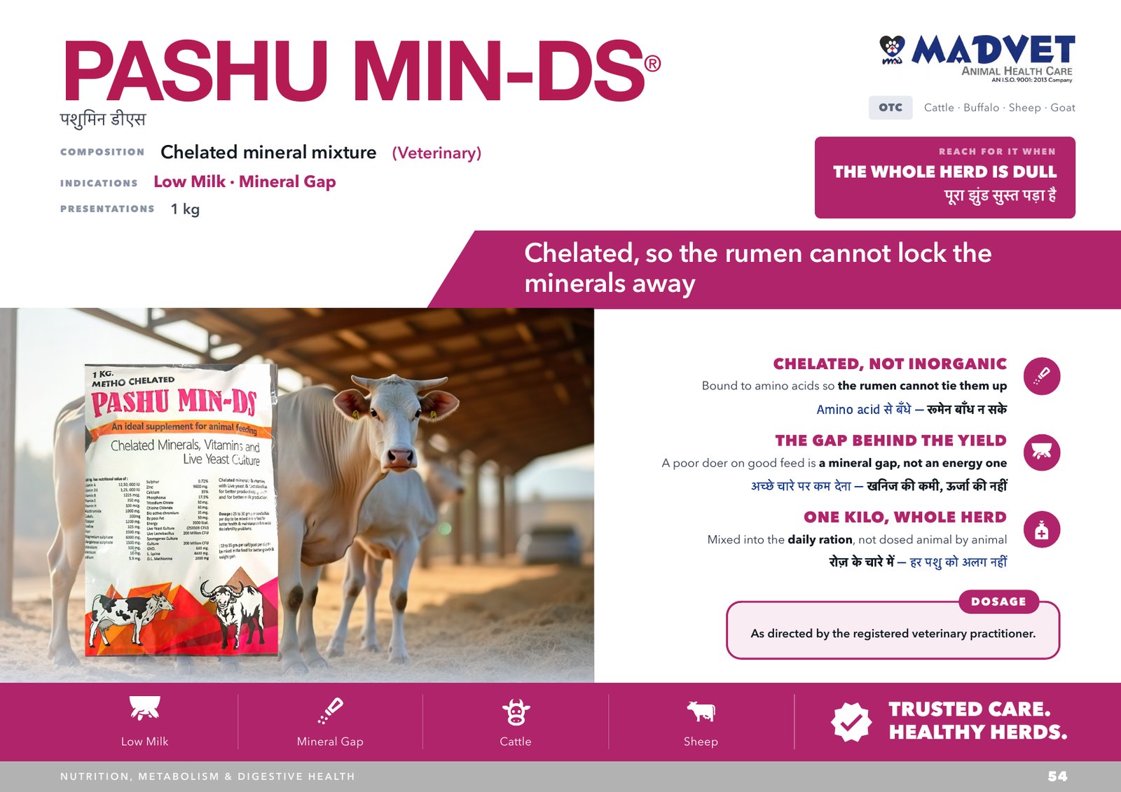 Pashumin Ds powder — what is sent