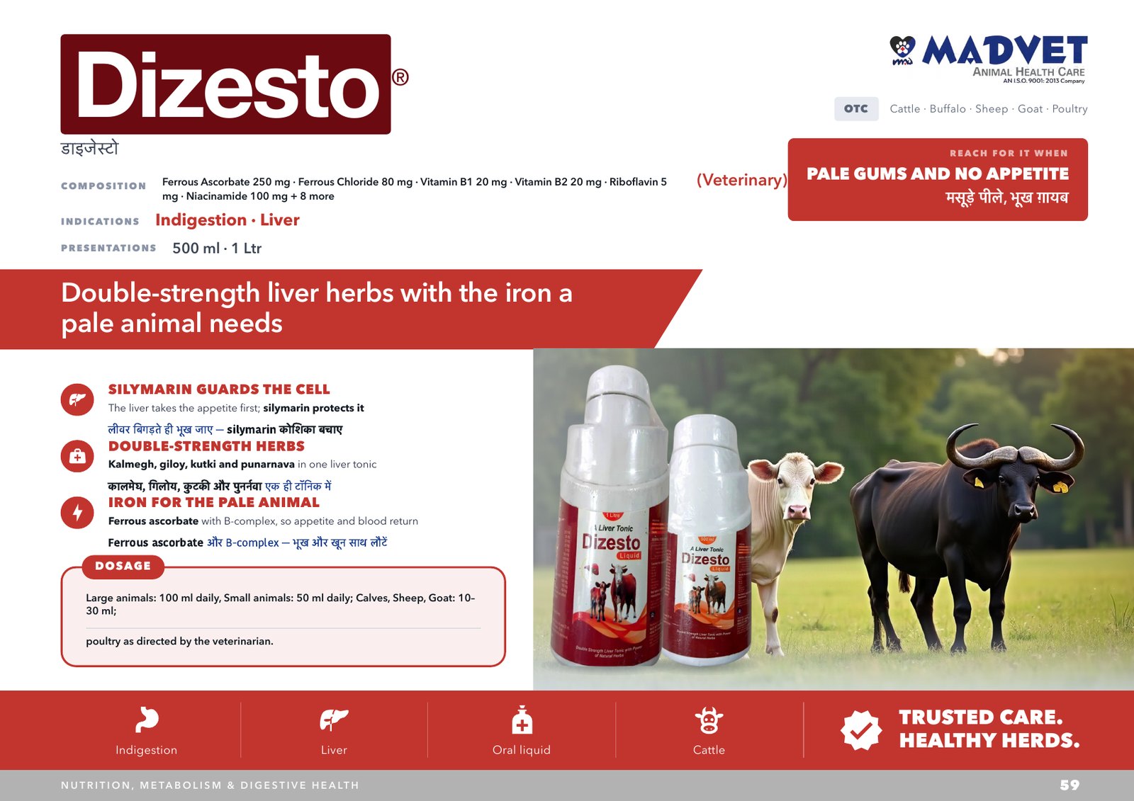 Dizesto Liquid 500ml — what is sent