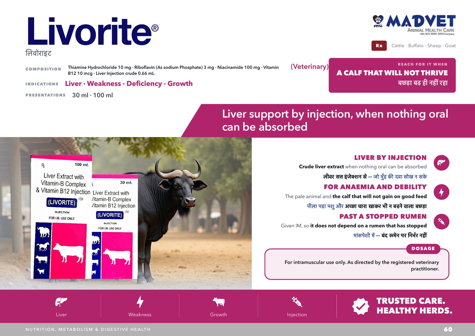Livorite 30ml — what is sent