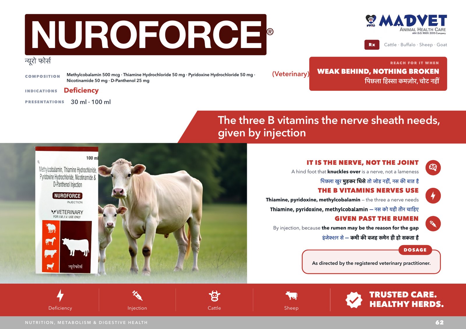 Nuroforce 100ml — what is sent