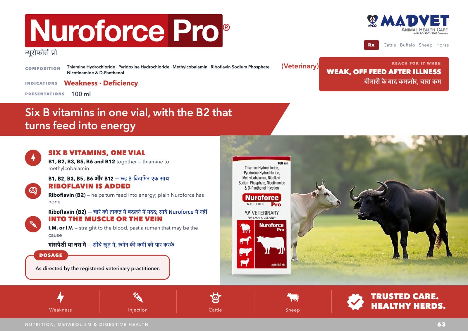Nuroforce Pro — what is sent