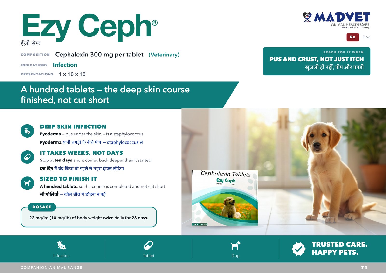 Ezy Ceph tablet — what is sent