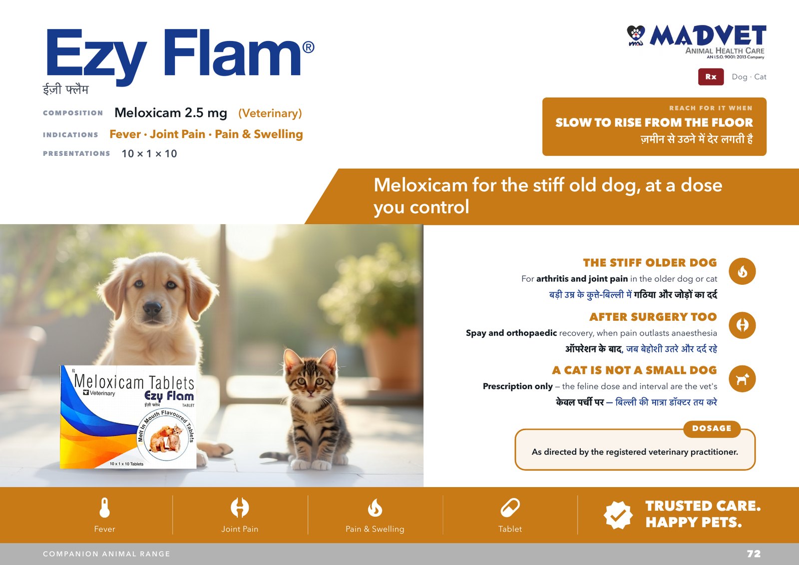 Ezy Flam Tablet — what is sent