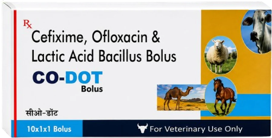 CO - Dot Bolus
