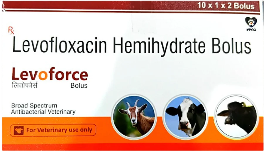 Levo Force Bolus