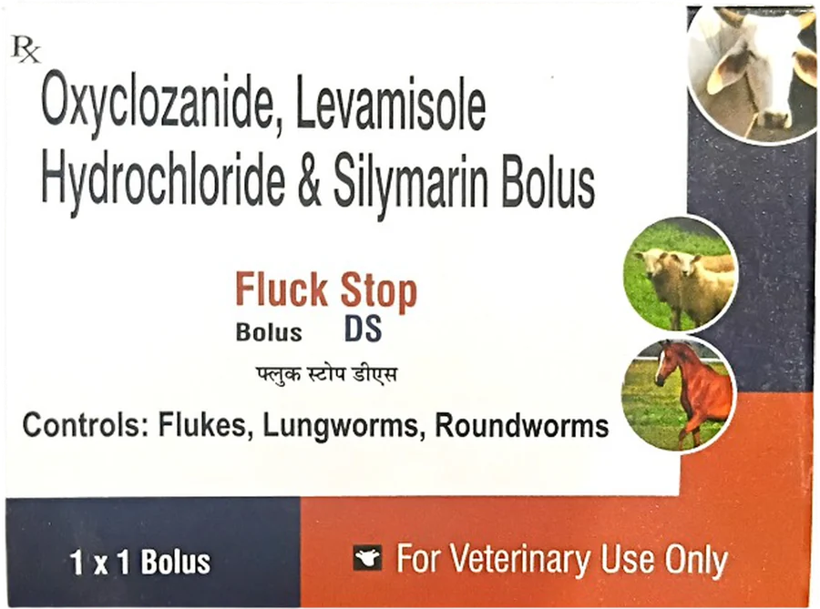 Fluck Stop DS Bolus