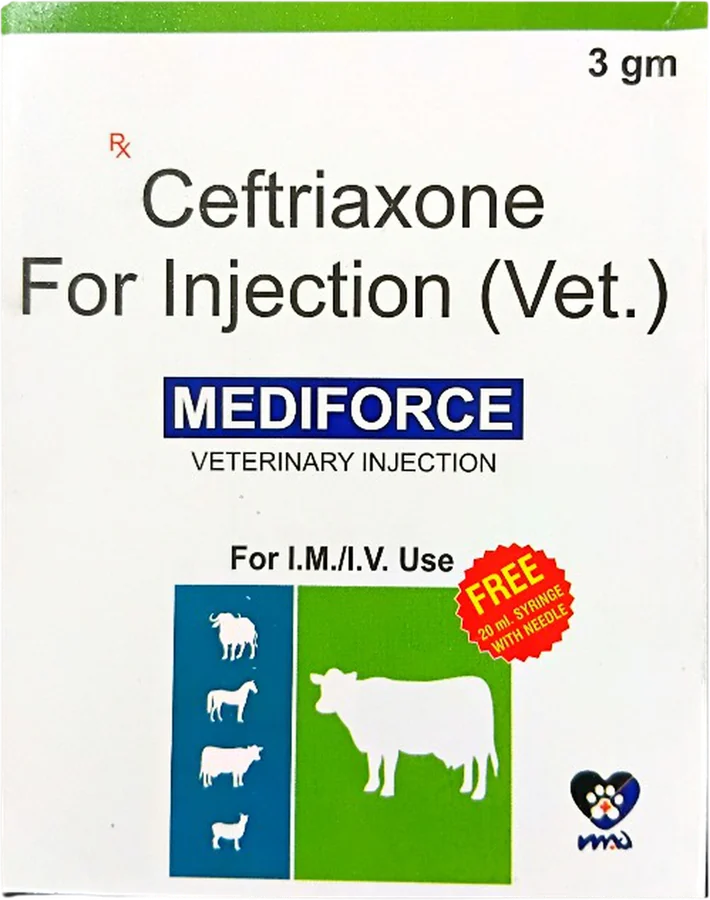 Mediforce 3gm