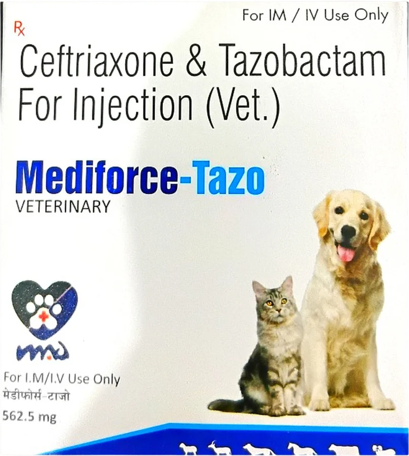 Mediforce-Tazo