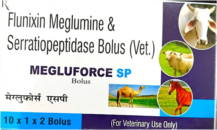 MEGLUFORCE SP Bolus