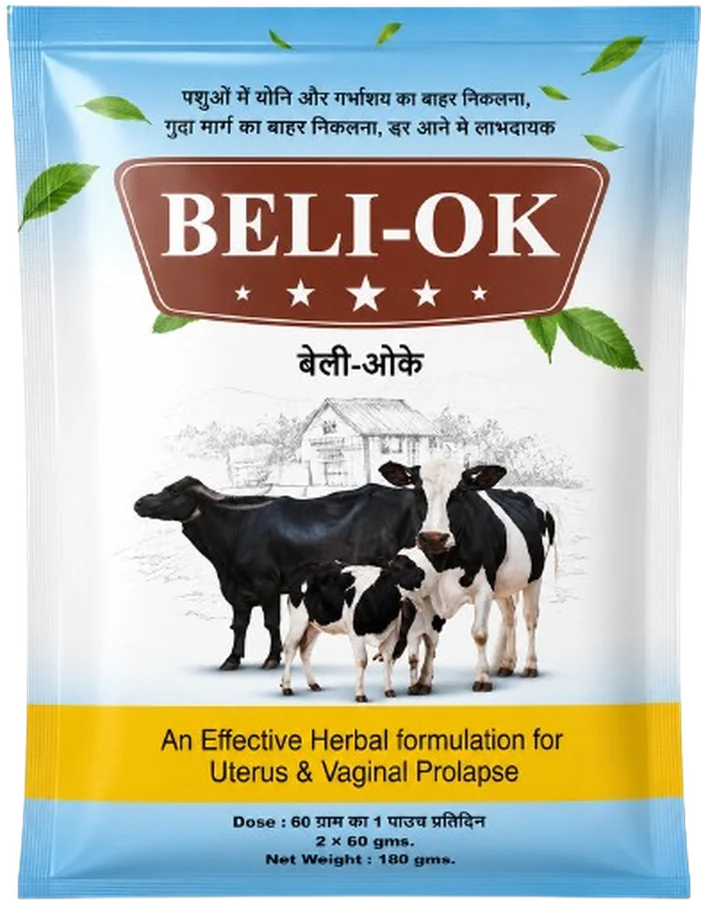 BELI-OK