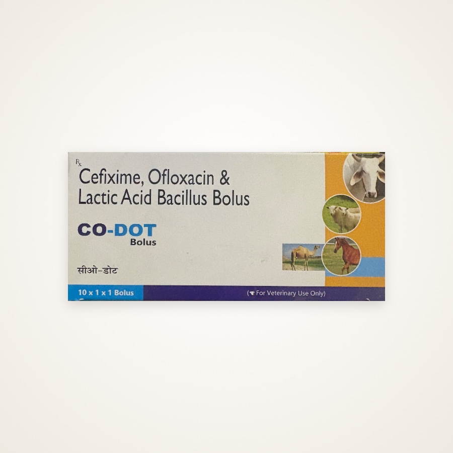 CO - Dot Bolus