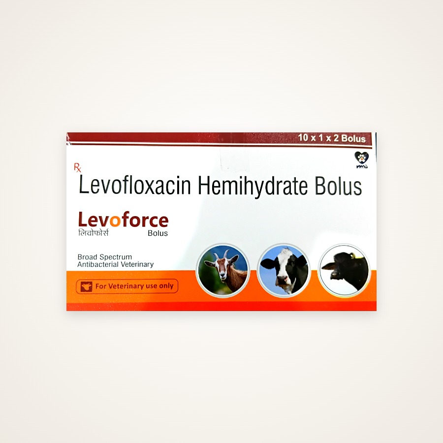 Levo Force Bolus