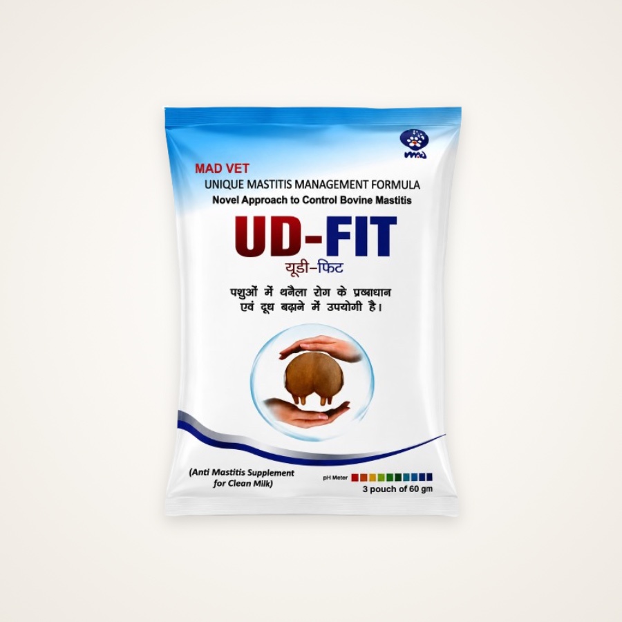 UD Fit Powder